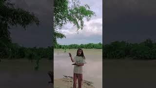 #shakyshaky song ️🩷#tarotreading #hitsong #viralvideo