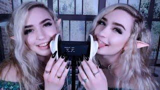 twin fairies caring for YOU | ear eating, nibbles, licking & tongue flutters, personal *:･ﾟASMR