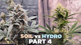 Hydro vs Soil Part 4 – 420 Fast Buds vs. Mephisto Autoflowers – RDWC and Soil Day 46-56