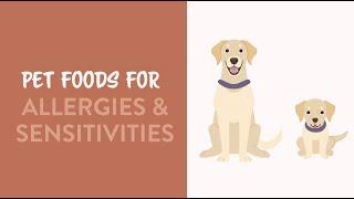 Diets for Dogs with Allergies & Sensitivities | Earthborn Holistic Pet Food