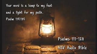 Psalms 111-120 NIV Audio Bible(with text)