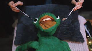 kermit visits the dentist for a cleaning (asmr) 