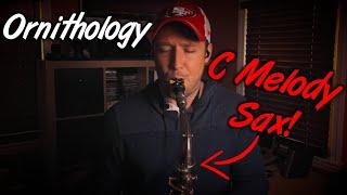 Playing BEBOP on a C MELODY Sax! "Ornithology"