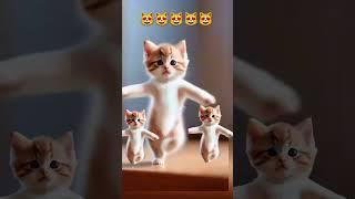 Cat videos funny dance #cat #lovelyecats #catvideos #cute #shorts #ytshortsvideo