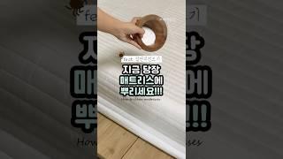 매트리스 냄새, 집먼지 진드기 제거️ 새것 만드는 비결️ #세미살림 #살림꿀팁