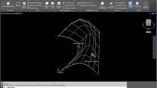 Поверхность кунса сеть из сплайнов AutoCAD