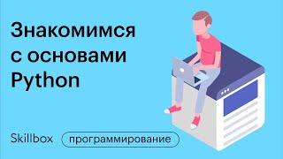 Обучение программированию на Python с нуля. Архитектура чат-бота