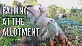 THEY JUST DIDN'T WORK! / ALLOTMENT GARDENING FOR BEGINNERS