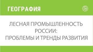 Лесная промышленность России: проблемы и тренды развития