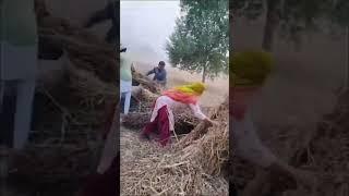 Farmer jatt profession e kheti #farmer