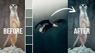 How to Copy a Post-Processing Style in Photoshop!