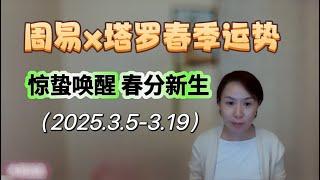 【直播】惊蛰唤醒，春分新生：周易×塔罗揭示你的春季运势