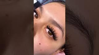 What do you think of this lash mapping?