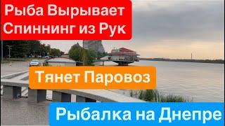 Монстр ГлубинВырывает УдочкуЗатягивает в РекуМожет это ВодолазРыбалка на ДнепреМор Рыбы