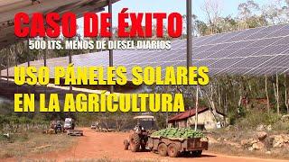 PHOTOVOLTAIC SYSTEMS IN AGRICULTURE