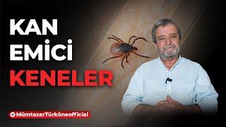 Toplumun Kanını Emen "Keneler" | Prof. Dr. Mümtaz’er Türköne