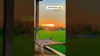 khudut ni bethak.  deshi life style #like #subscribe #shorts #good #sunrise