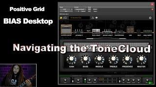 BIAS Desktop - Navigating the ToneCloud