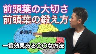 前頭葉の大切さ、鍛え方