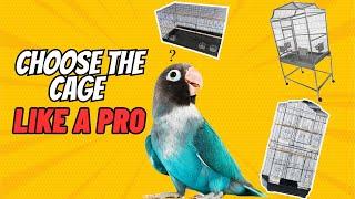 How to Pick the Ideal Cage for Your Lovebird: Expert Tips