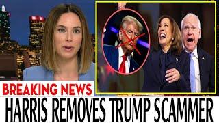 URGENT!! Latest Trump News [8AM] 11/2/2024 | ️ BREAKING NEWS Today November 2, 2024