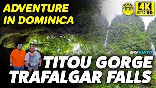 Dominica Uncovered: Jeep Tours, Titou Gorge & Waterfall Wonders