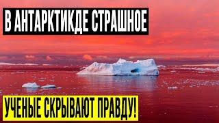 ЭКСПЕДИЦИИ ПОЛЯРНИКОВ УДАЛОСЬ ЗАСНЯТЬ НЕВЕРОЯТНОЕ!!! ФИЛЬМ ЗАПРЕЩЕН! 15.06.2020 ДОКУМЕНТАЛЬНЫЙ ФИЛЬМ