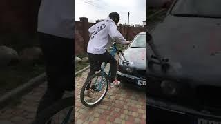 Мишаня огородник #мишаняогородник #shorts