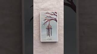 The Star Seeker Tarot Flip Through