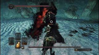 Dark Souls 2. Дымный Рыцарь. No Damage