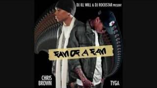 2 - Chris Brown - What They Want & Tyga (Fan Of A Fan Album Version Mixtape) May 2010 HD