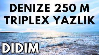 DİDİM DENIZE 250 METRE YAZLIK TRIPLEX #trending #popular #youtube #yazlık #triplexvillas