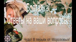 Болталка//ответы на вопросы.