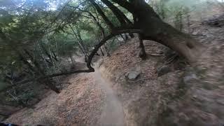 Berkeley to China Camp - Shoreline, Hytler, Hummingbird, San Rafael mountain biking 4k