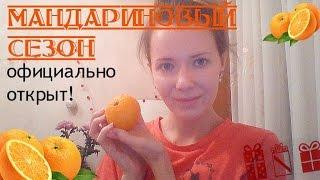 ►314. 1 января, влог: нежданный подарок, у нас ледник!