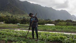 GoFarm Hawaii