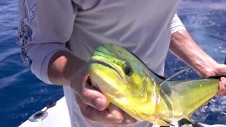 Ocean Atlantic Charters | 5-Star Rated Boynton Beach Fishing Charter