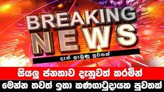 breaking news|election prediction srilanka news|hiru news|political news|hiru tv live|news 1st