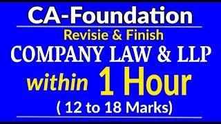 Quick Revision | The Companies Act and LLP | CA Foundation | DKG Dexterous Zone