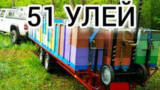 УВИДЕЛ И ЗАГОРЕЛСЯ ТАКОЙ ПЛАТФОРМОЙ. Бджоловiз.BEES TRANSPORTATION PLATFORM.