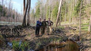 Побег из города в бобровый рай.