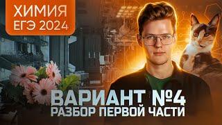 Вариант №4 ЕГЭ по ХИМИИ 2024, Степенин и Дацук | Анна, Влад и Варя с химфака МГУ