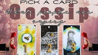 What's The Gossip About You?! Super Detailed Reading Pick A Card