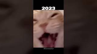 Laughing Cat meme #shorts #memes #cat