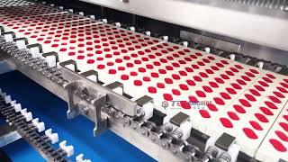 GD150Q Automatic gummy candy vitamins making machine center filled gummies depositing machine