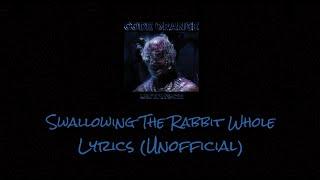 Code Orange - Swallowing The Rabbit Whole - Lyrics (Unofficial)