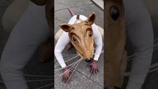 Have you seen #buddytherat in person? #newyork #doyourthing