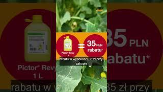Zyskuj z BeneFito. Na ochronę okołokwitnieniową rzepaku Pictor Revy @BASF_Agro