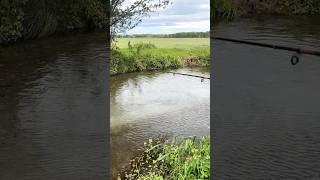 ️ Fishing in the hurricane️ #shorts #hurricane #fishing #spinning #reelfishing