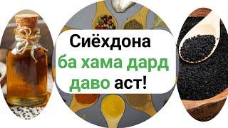 Сиёхдона. Черный Тмин. Фоидахои Сиёхдона. Сиёхдона ба хама дард даво аст. Black seed oil.